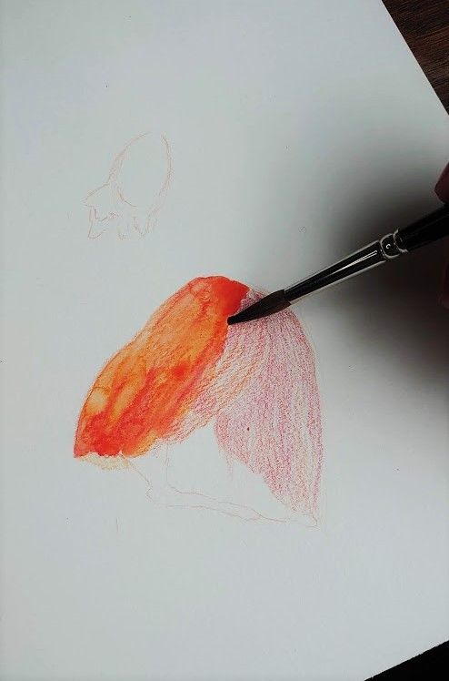 Jak kreslit akvarelovými pastelkami